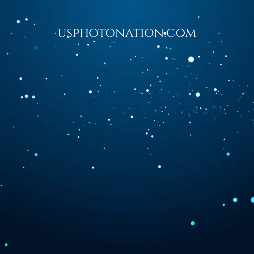 Silly Christmas GIFs featuring Santa and elves