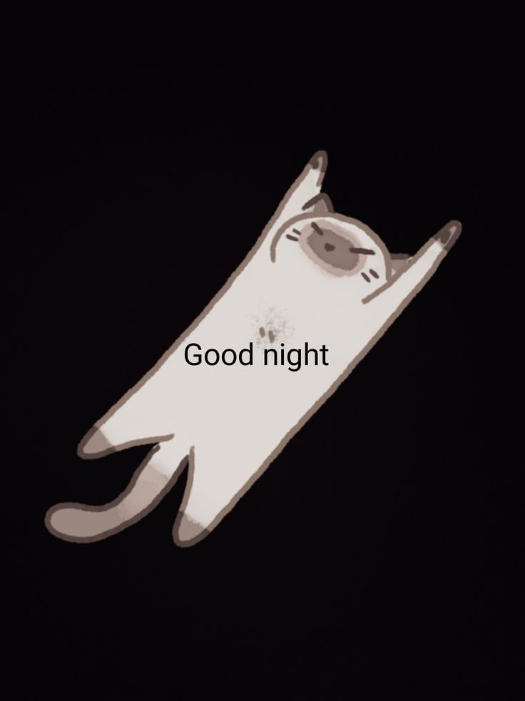 Good Night Memes to Make Your Love Laugh