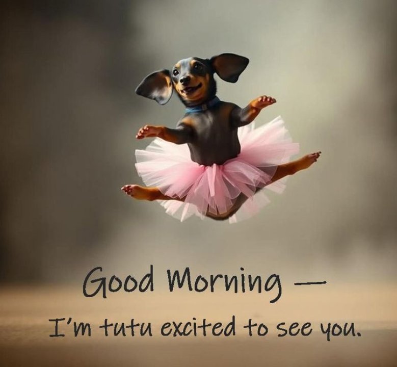 Ultimate Funny Good Morning Pictures