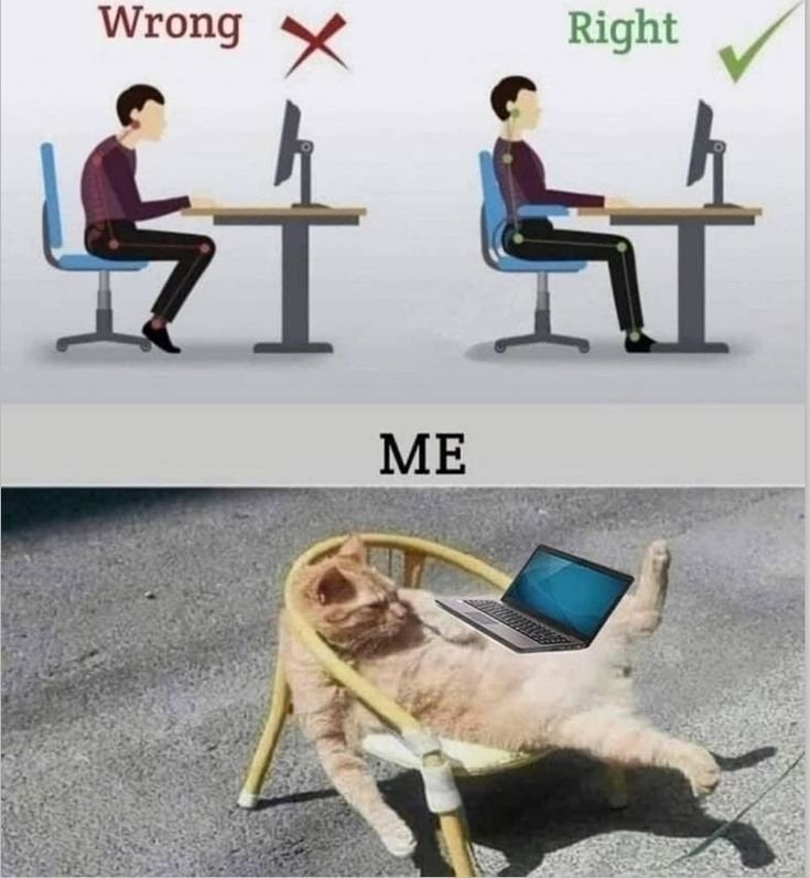 Memorable Viral Funny Photos That Made Us Laugh