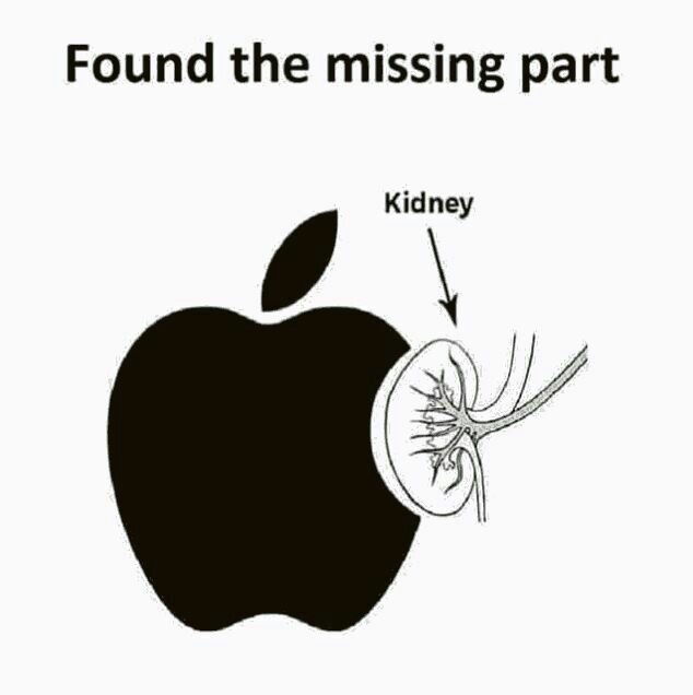 Timeless Funny Images That Still Go Viral