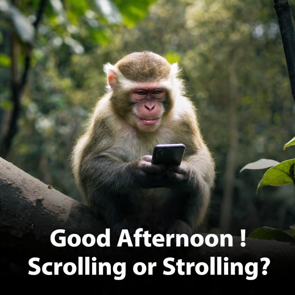 Playful Good Afternoon Images with Humor