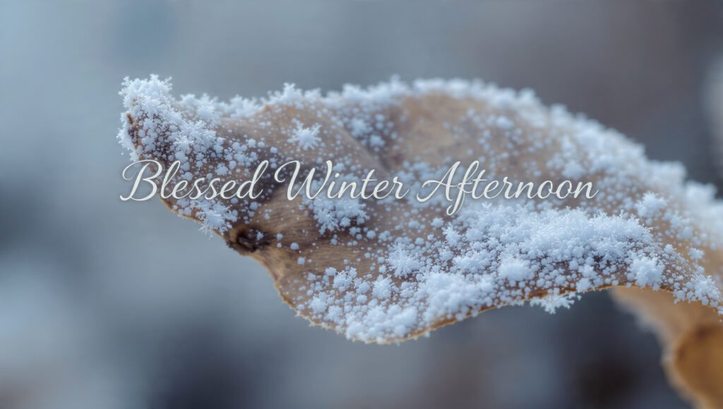 Winter Afternoon Greetings With Blessings