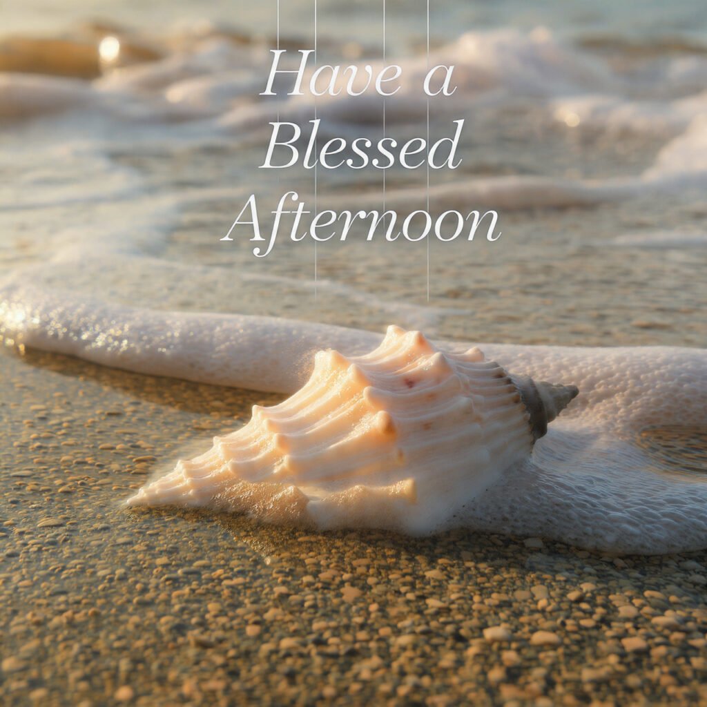 Relaxed Coastal Afternoon Quote Image Collection