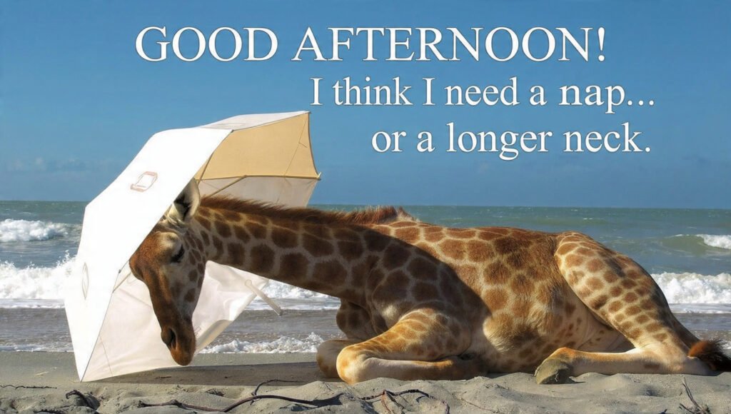 Cute Funny Good Afternoon Photo Quotes