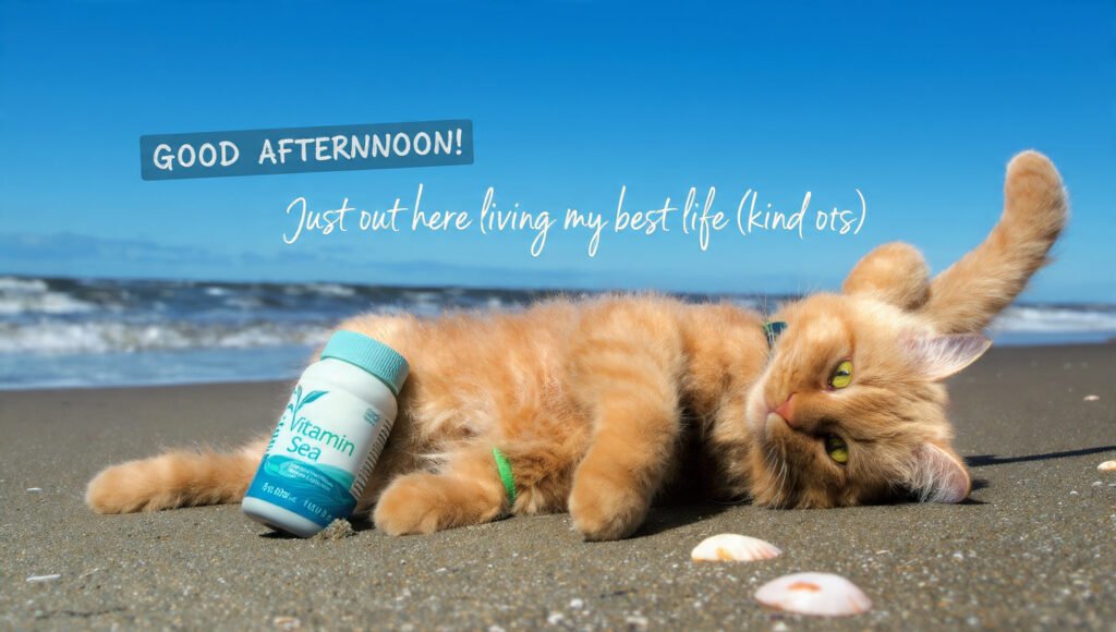 Laugh Out Loud Afternoon Image Wishes